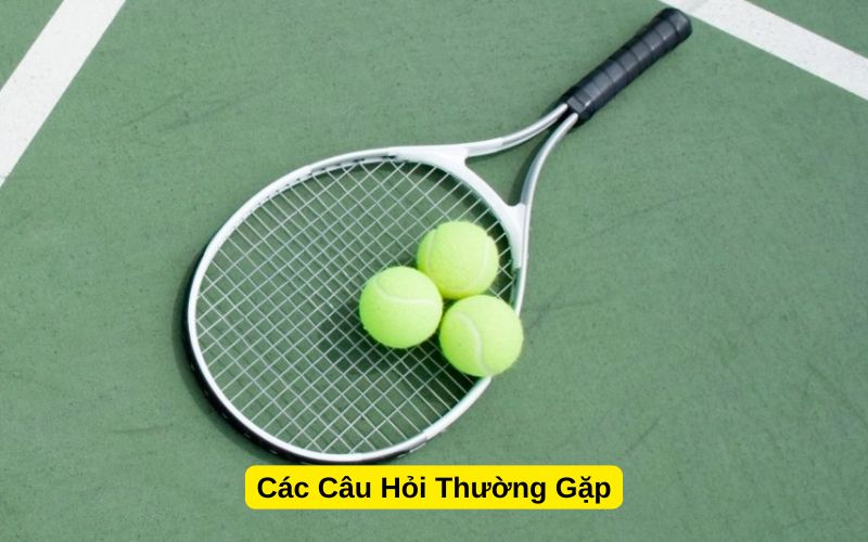 Các Câu Hỏi Thường Gặp