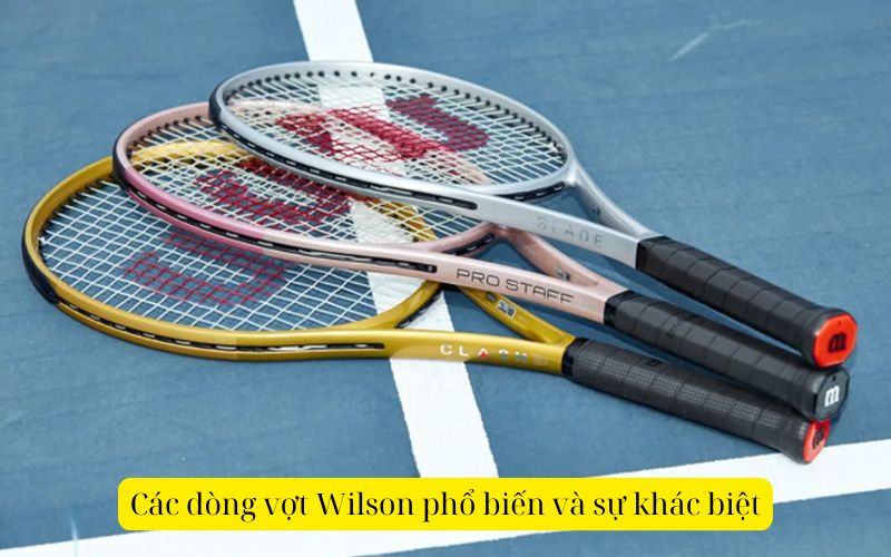 Các dòng vợt Wilson phổ biến và sự khác biệt