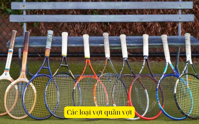 Các loại vợt quần vợt