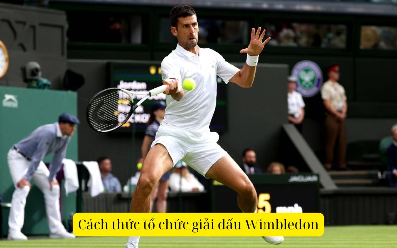 Cách thức tổ chức giải đấu Wimbledon