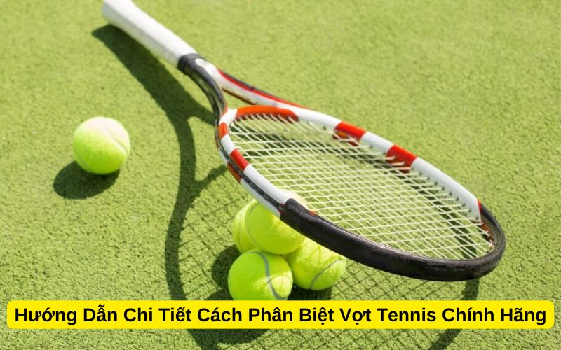 Hướng Dẫn Chi Tiết Cách Phân Biệt Vợt Tennis Chính Hãng