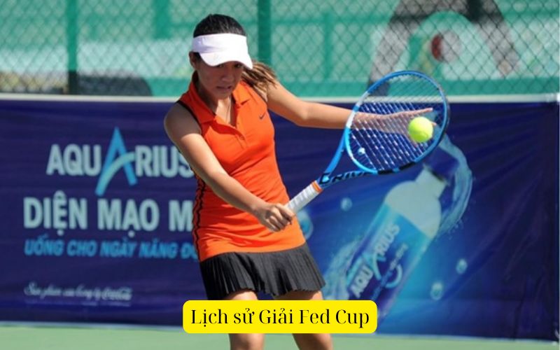 Lịch sử Giải Fed Cup