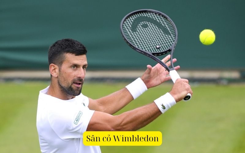 Sân cỏ Wimbledon