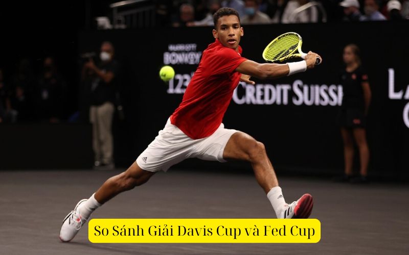 So Sánh Giải Davis Cup và Fed Cup