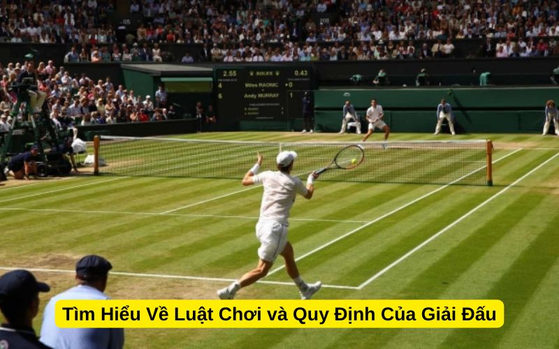 Tìm Hiểu Về Luật Chơi và Quy Định Của Giải Đấu