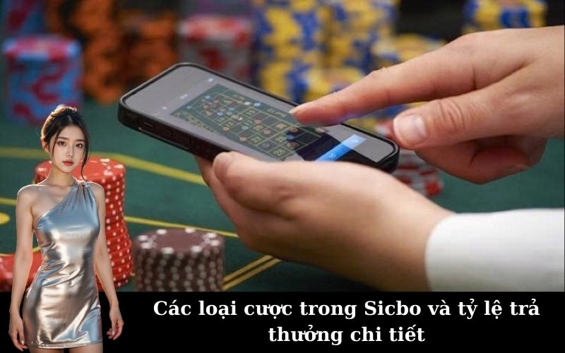 Các loại cược trong Sicbo và tỷ lệ trả thưởng chi tiết