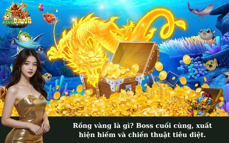 Rồng vàng là gì? Boss cuối cùng, xuất hiện hiếm và chiến thuật tiêu diệt.