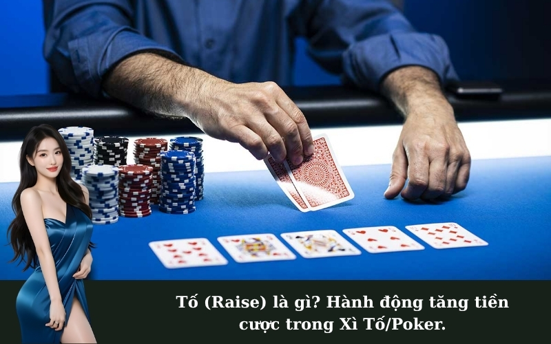 Tố (Raise) là gì? Hành động tăng tiền cược trong Xì Tố/Poker.