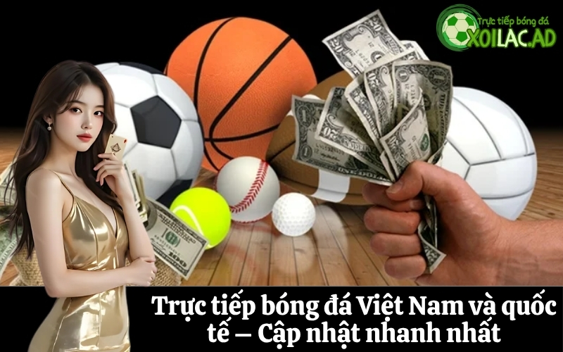 Trực tiếp bóng đá Việt Nam và quốc tế – Cập nhật nhanh nhất