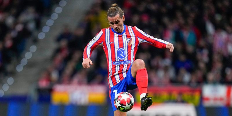 Luôn tỏa sáng tại các sàn diễn lớn